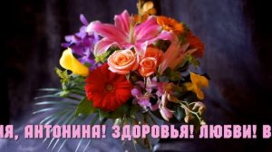 С Днём Рождения, Антонина!
