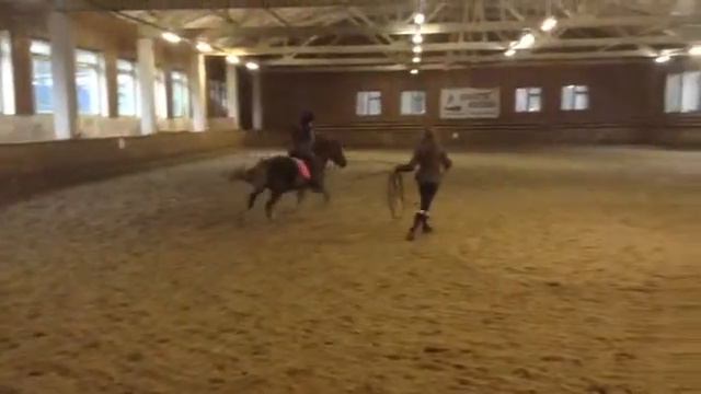 ))Галоп специально для папы)), чтобы папа не боялся... смотреть онлайн