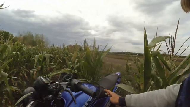 ШКОЛЬНИК УГНАЛ И РАЗБИЛ МОПЕД смотреть онлайн