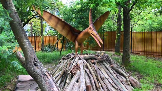 🎾 ПАРК ДИНОЗАВРОВ, Сочи, 🦇 эра динозавров, мне страшно, Даниэла Есина 👩🏼 смотреть онлайн