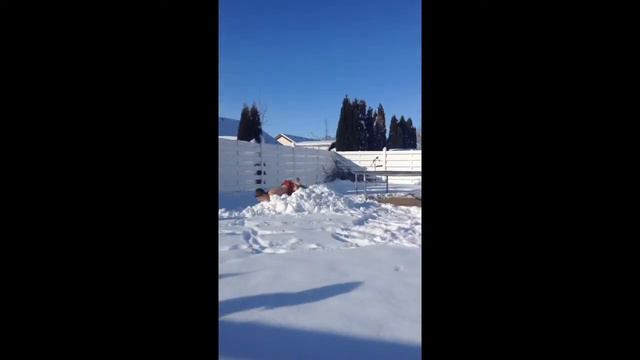 Kids jump in snow naked!! смотреть онлайн