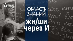 Кто придумывает правила русского языка. Лекция лингвиста Марии Ровинской.