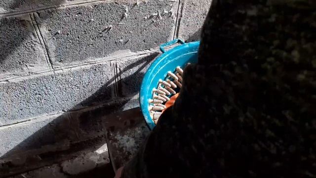 Окончание эксперимента Перепела от А до Я.Выгодно или нет. смотреть онлайн