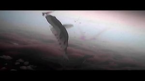 Ловим рыбу с подводной камерой | Зимняя рыбалка 2023