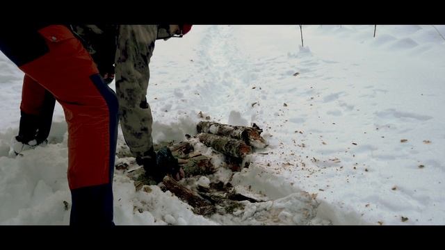 Съемка ДИКИХ животных, ночь в зимнем ЛЕСУ. Часть 1.