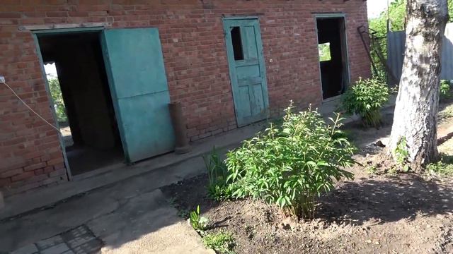 Выставили годовые оценки ! Опять они едят! 20.05.22. смотреть онлайн