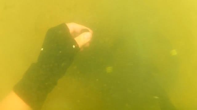 Поиск золотого кольца с металлоискателем по водой!underwater Search