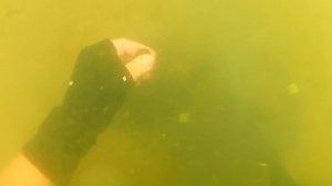 Поиск золотого кольца с металлоискателем по водой!underwater search