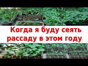 Когда я буду сеять рассаду в этом году. Приблизительные даты