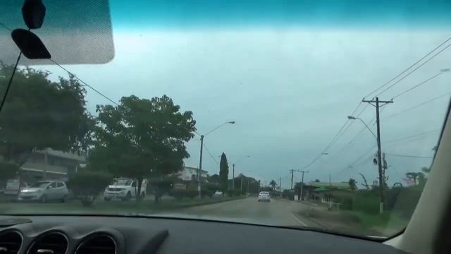 ДОЖИВЁМ ДО ПОНЕДЕЛЬНИКА/МНОГО ГОТОВЛЮ/ДНЮХА ЭНЗО/ЭКЗОТИЧЕСКАЯ ПТИЦА MOMOT/ПАНАМА смотреть онлайн