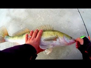 СУДАК ЖРËТ БАТОН! ЗАКРЫТИЕ ЗИМНЕГО СЕЗОНА ПО СУДАКУ) РЫБАЛКА НА СУДАКА!