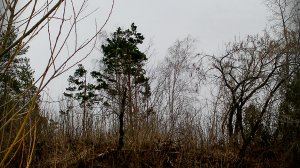 Чудеса Сибири: первая весенняя прогулка по уникальным природным местам