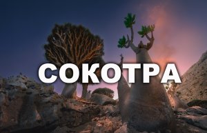 Путешествие на остров СОКОТРА - ноябрь 2015 г