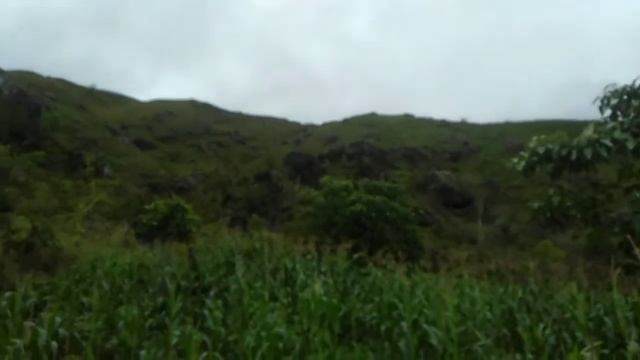 perjuma-juma смотреть онлайн