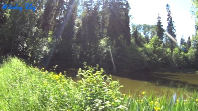 #SedoyBlog #6 Усадьбы Шахматово Тараканово Николопешношский монастырь смотреть онлайн