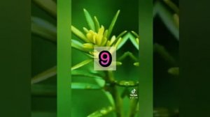 •загибай палец если• рандомная версия |видео Тик Ток|