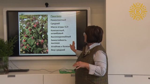 Фестиваль исторических садов. Прикладное садоводство. Часть II: малина смотреть онлайн