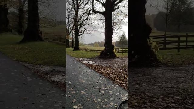 Cirencester Park!!! #UK #Cirencester #Park #Nature #WinterIsComing