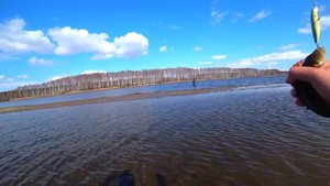 Рыбалка 2019.Спиннинг. Уловистый воблер Tsuribito Dead Minnow 70.Ловля жереха щуки и окуня.