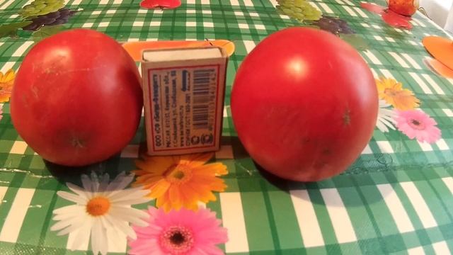 семена перца и томатов не покупаю смотреть онлайн