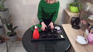 Как сеять обриету