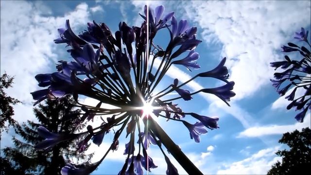 'The Cottage' English Garden in Surrey - 'Summer' смотреть онлайн