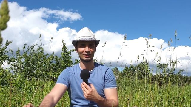 Что продавать в интернет магазине. Как выбрать товар? Один или много?