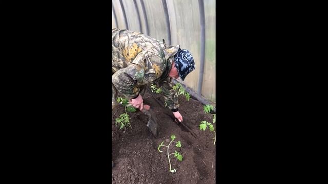 Монтаж Системы капельного полива 
