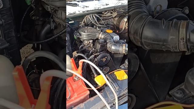 Не завёлся в -20:)
