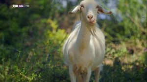 Джейми Оливер  Супер еда  1 Серия