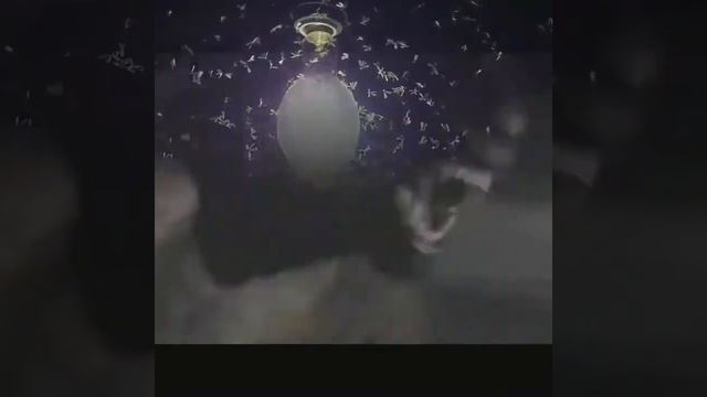 Fiji strange happenings testified by a girl 👹👹😠👿 смотреть онлайн