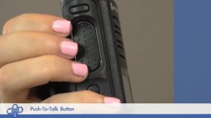 Радиостанция цифровая Motorola DP4600