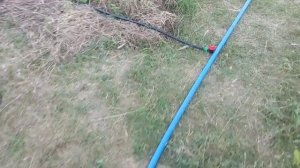 капельный полив малины