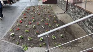 219Переезд в Россию. АЛГА Казахстан ! В деревне. Купили диван ! Ялуторовск, Тюменская обл., Сибирь