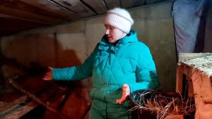 Как собрать яйцо на инкубацию. Как я избавилась в  курятнике от влажности.