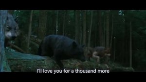 Joe Tse - [Twilight] A Thousand Years (Christina Perri cover)