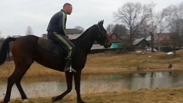 Загар ..мерен 3 ГОДА.МОЙ ВТОРОЙ КОНЬ смотреть онлайн