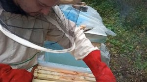 Дачная пасека #31 Норвежский скандинавский метод зимовки пчел часть 3
