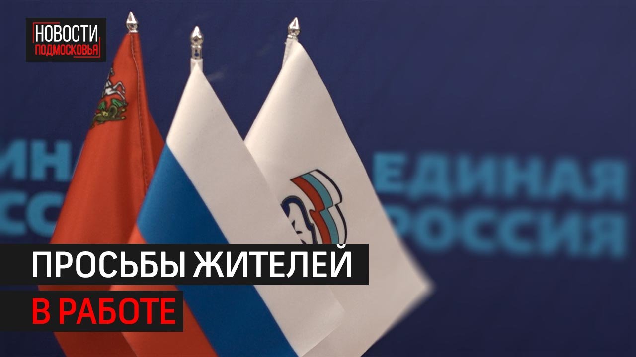Как реализуют наказы населения, отчитались народные избранники в Балашихе