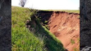 Овраги-враги?