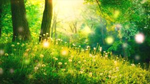 Лечебная музыка ♪ для очистки ауры и исцеления чакр