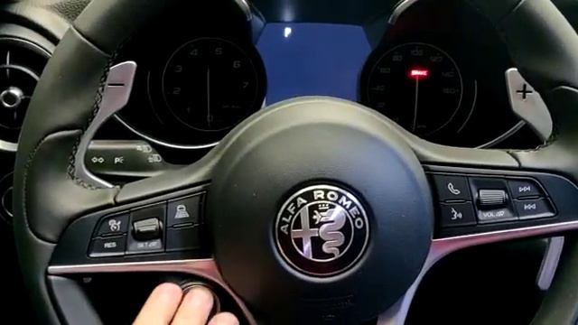 CAN blocking immobilizer system for Alfa-Romeo Giulia 2020 Anti Hi-Jack in Moscow смотреть онлайн