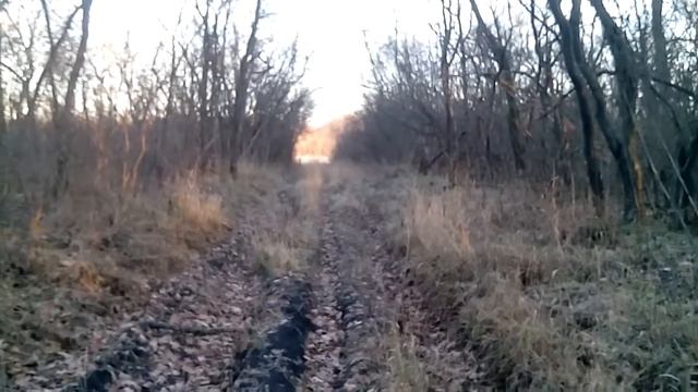 VID 20171116 081601 смотреть онлайн