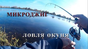 Crazy fish ebisu gold II. Микроджиг на озере осенью
