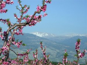 Какая по счету весна Автор-исполнитель свящ. Георгий Галахов.mp4