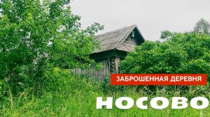 Остался последний домик | Татарстан, Рыбно-Слободский р/н д. Носово