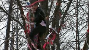 [2011-11-26] В-МАЛЬЦЕВО