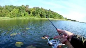 Ловля на спиннинг ,СЕКРЕТЫ ЛОВЛИ ЩУКИ .