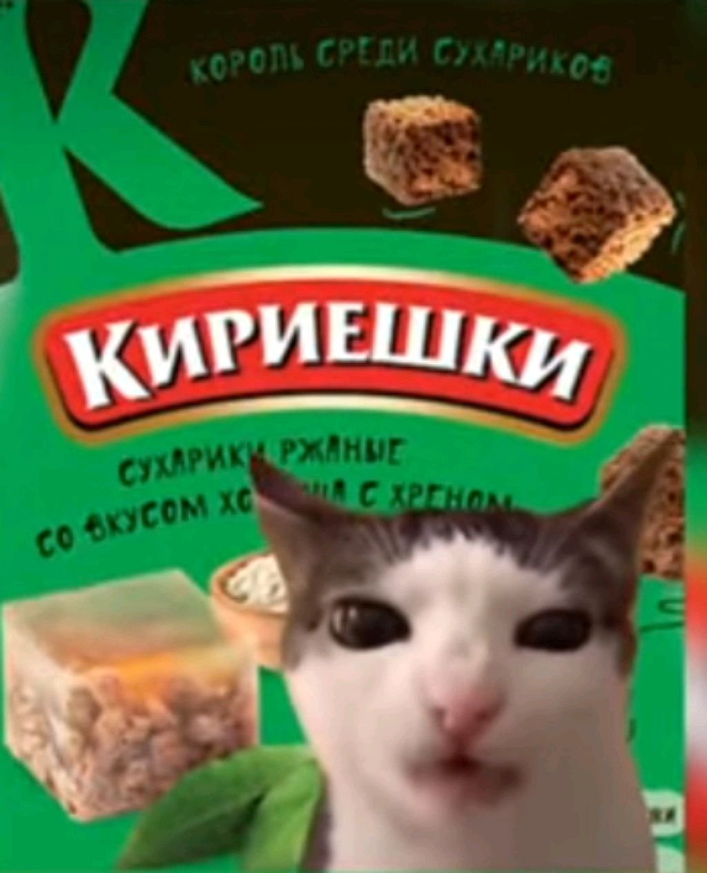 общайтесь