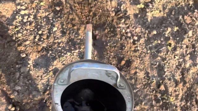 Фасоль и секреты ее посадки!! смотреть онлайн